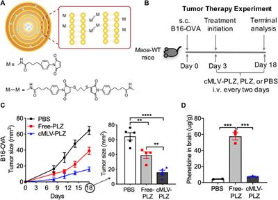 Nanoformulation improves antitumor efficacy of MAOI immune checkpoint blockade therapy without causing aggression-related side effects